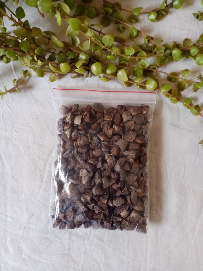 areca-nuts-burned-cutting